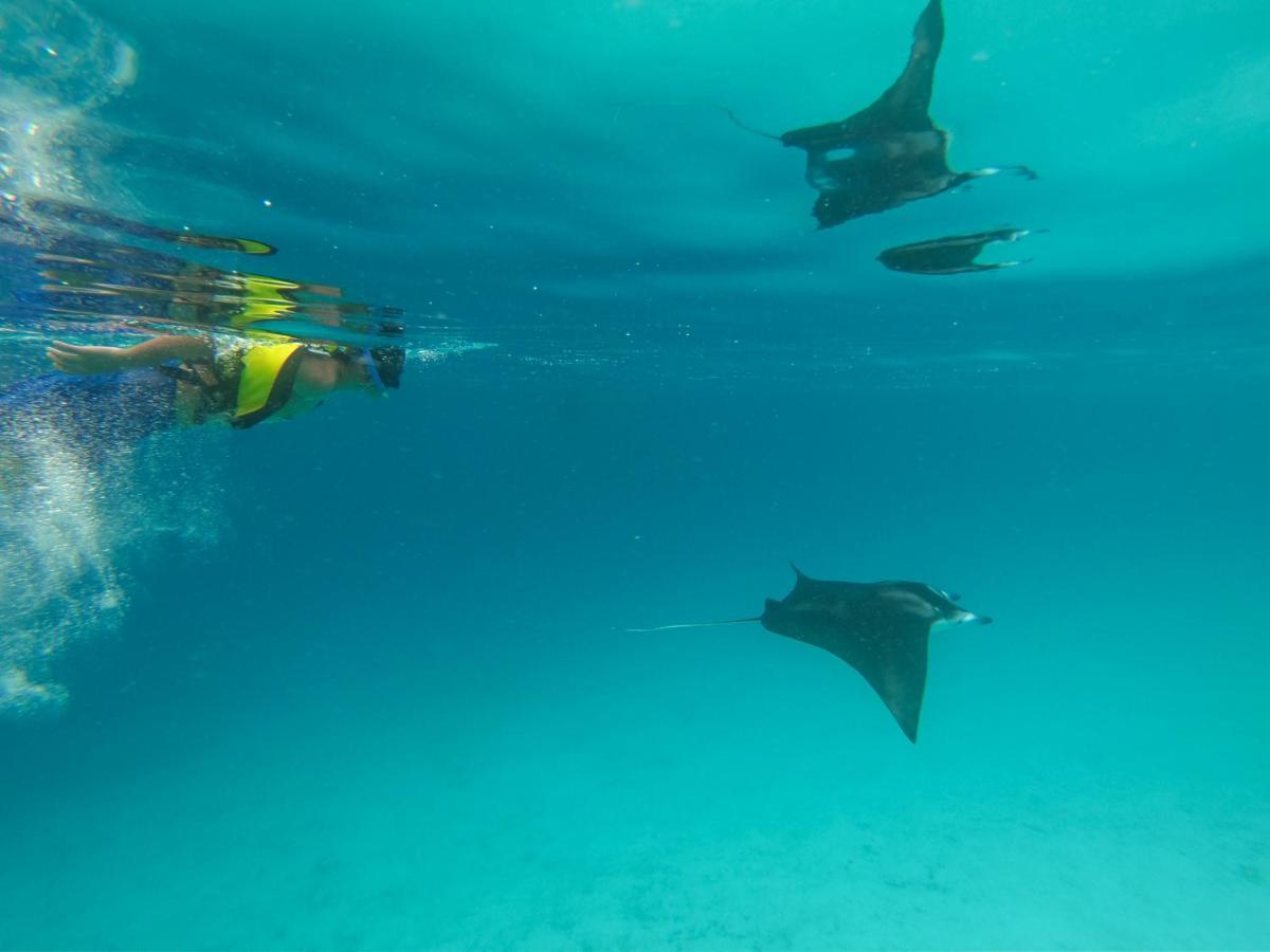 Coral Queen Villa, Ukulhas Buitenkant foto
